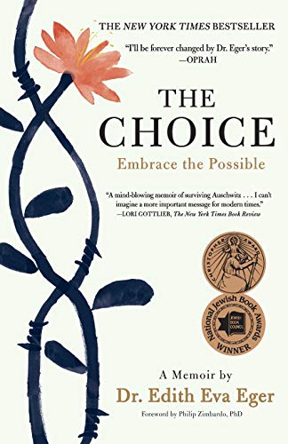 Cover art for The Choice: Embrace the Possible
