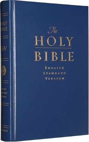 Holy Bible   2002 9781581343793 Front Cover