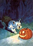 Dog Startled by Jack-O-lantern - Halloween Greeting Card  N/A 9781595836793 Front Cover