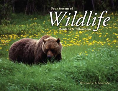 Four Seasons of Wildlife Montana and Yellowstone  2011 9781591520795 Front Cover