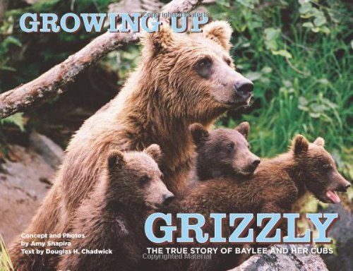Growing up Grizzly The True Story of Baylee and Her Cubs  2011 9780762779796 Front Cover
