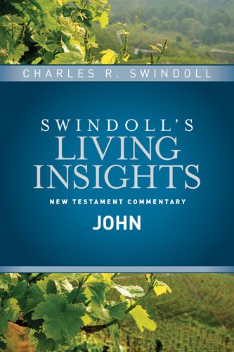 Insights on John   2014 9781414393797 Front Cover