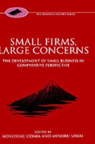 Small Firms, Large Concerns The Development of Small Business in Comparative Perspective  1998 9780198293798 Front Cover