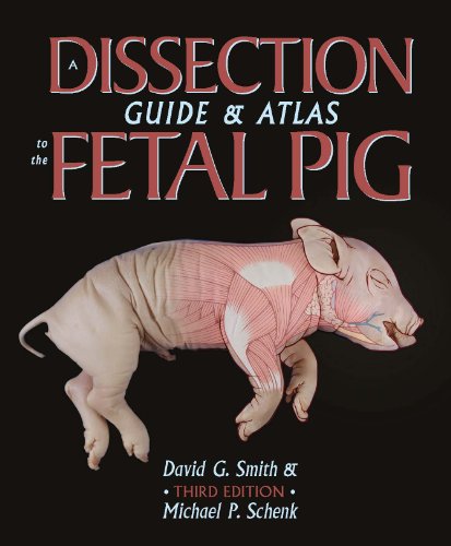 Dissection Guide and Atlas to the Fetal Pig  3rd 2011 9780895828798 Front Cover