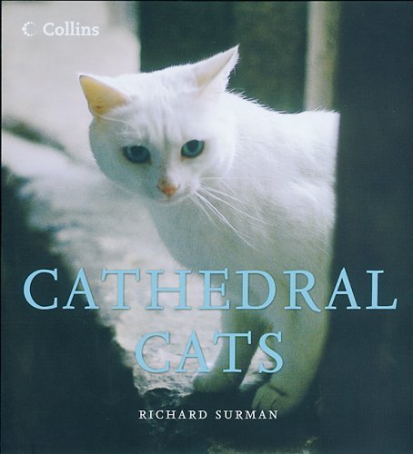 Cathedral Cats   2005 9780007182800 Front Cover