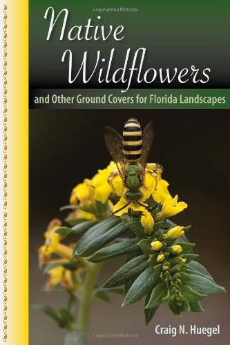 Native Wildflowers and Other Ground Covers for Florida Landscapes   2012 9780813039800 Front Cover