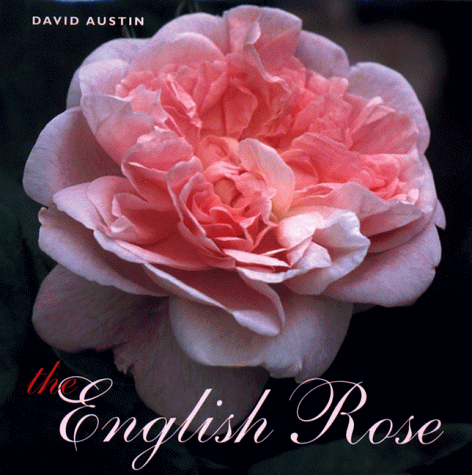 English Rose   2000 9780670888801 Front Cover