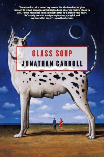 Glass Soup  N/A 9780765311801 Front Cover