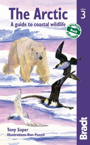 Bradt Guides - Arctic A Guide to Coastal Wildlife 3rd 2012 (Revised) 9781841623801 Front Cover