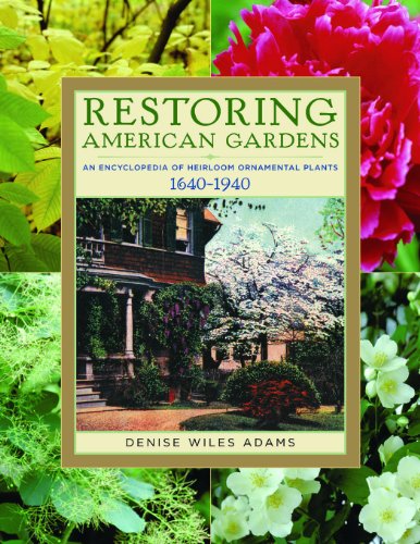 Restoring American Gardens An Encyclopedia of Heirloom Ornamental Plants, 1640-1940  2009 9781604690804 Front Cover