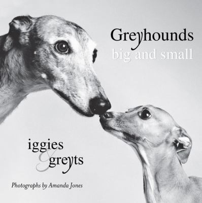 Greyhounds Big and Small Iggies and Greyts  2010 9780425232811 Front Cover