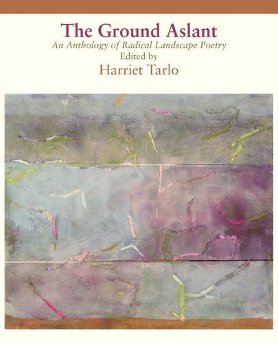 Ground Aslant - Radical Landscape Poetry   2011 9781848610811 Front Cover