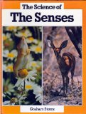 Understanding the Senses  N/A 9780382090813 Front Cover