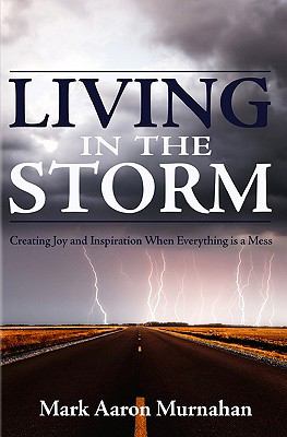Living in the Storm Creating Joy and Inspiration When Everything Is a Mess N/A 9780982497814 Front Cover