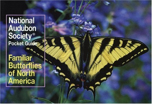 National Audubon Society Pocket Guide: Familiar Butterflies of North America   1990 9780679729815 Front Cover