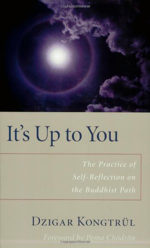 It's up to You The Practice of Self-Reflection on the Buddhist Path  2006 9781590303818 Front Cover