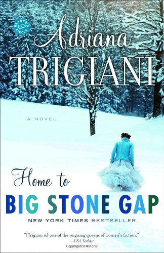 Home to Big Stone Gap A Novel N/A 9780812967821 Front Cover
