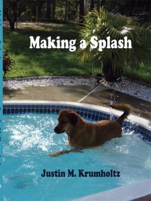 Making a Splash:   2009 9781434393821 Front Cover