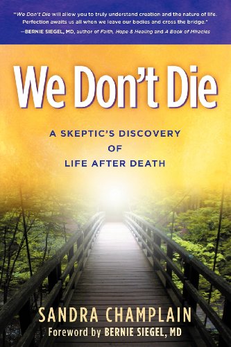 We Don't Die A Skeptic's Discovery of Life after Death N/A 9781614483823 Front Cover