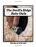 Devil's Ridge Baby Owls First Day Out of the Nest! N/A 9781478105824 Front Cover
