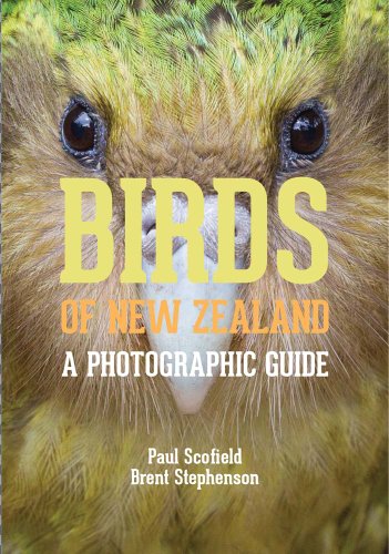 Birds of New Zealand A Photographic Guide  2013 9780300196825 Front Cover