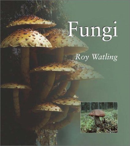 Fungi  2003 9781588340825 Front Cover