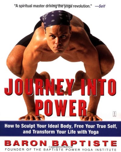 Journey into Power Journey into Power  2002 9780743227827 Front Cover