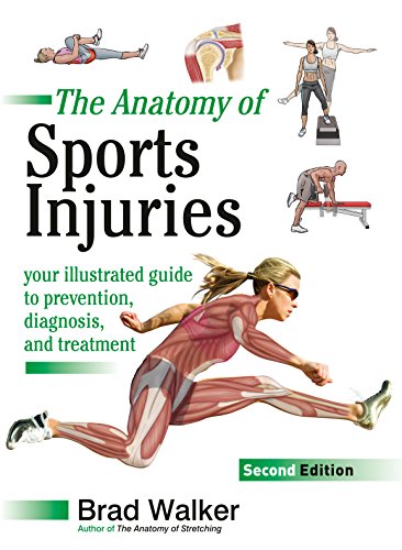 Anatomy of Sports Injuries, Second Edition Your Illustrated Guide to Prevention, Diagnosis, and Treatment  2018 9781623172831 Front Cover