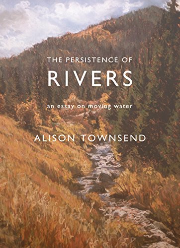 Persistence of Rivers An Essay on Moving Water  2017 9781941681831 Front Cover
