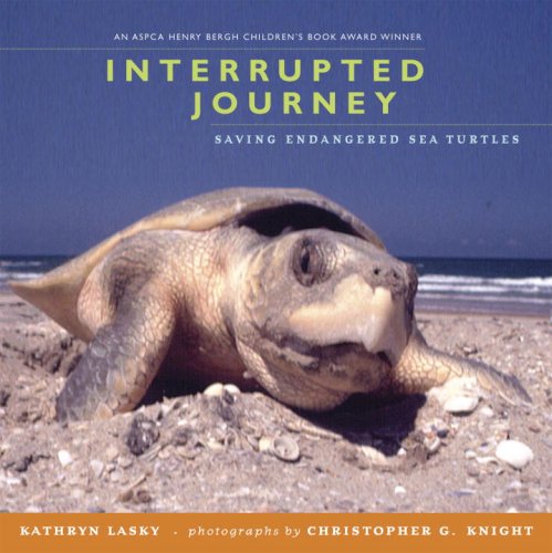 Interrupted Journey Saving Endangered Sea Turtles N/A 9780763628833 Front Cover