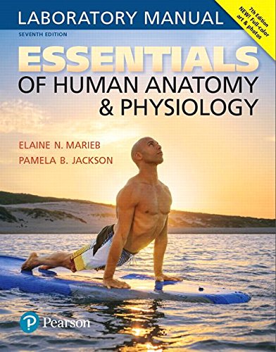 Essentials of Human Anatomy & Physiology:   2017 9780134424835 Front Cover