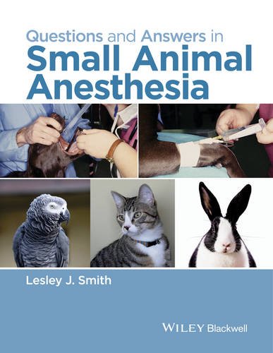 Questions and Answers in Small Animal Anesthesia   2016 9781118912836 Front Cover