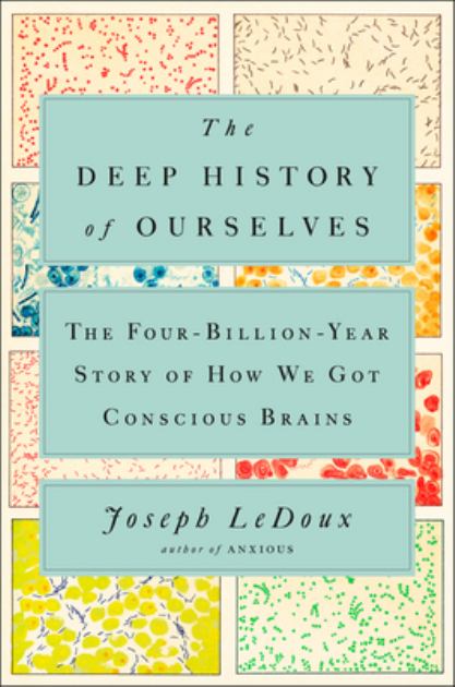 Deep History of Ourselves The Four-Billion-Year Story of How We Got Conscious Brains  2019 9780735223837 Front Cover