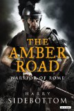 Amber Road Warrior of Rome: Book 6 N/A 9781590207840 Front Cover
