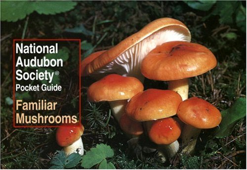 National Audubon Society Pocket Guide: Familiar Mushrooms   1990 9780679729846 Front Cover