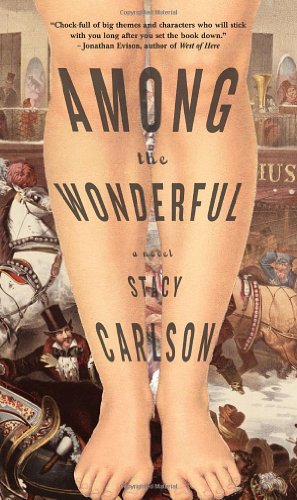 Among the Wonderful A Novel  2011 9781586421847 Front Cover