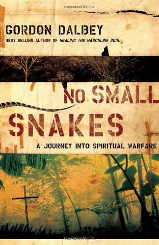 No Small Snakes A Journey into Spiritual Warfare  2008 9780849919848 Front Cover
