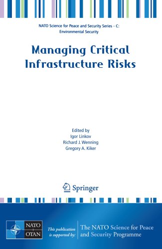 Managing Critical Infrastructure Risks   2007 9781402063848 Front Cover