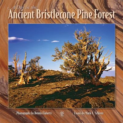 Day in Ancient Bristlecone Pine Forest  N/A 9780944197851 Front Cover