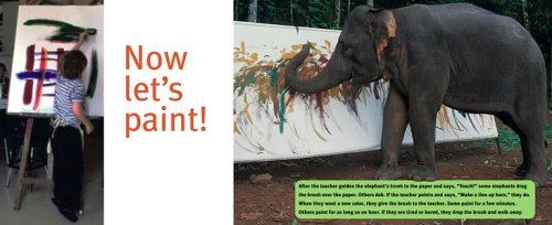 Elephants Can Paint Too!   2005 9780689869853 Front Cover