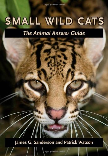 Small Wild Cats The Animal Answer Guide  2011 9780801898853 Front Cover