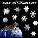 Amazing Snowflakes  N/A 9781490933856 Front Cover