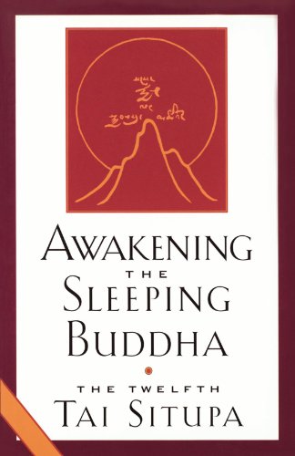 Awakening the Sleeping Buddha  N/A 9781570621857 Front Cover