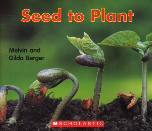 Seed to Plant  2004 9780439574860 Front Cover