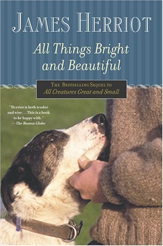 All Things Bright and Beautiful   2004 9780312330866 Front Cover