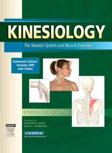 Kinesiology The Skeletal System and Muscle Function  2007 9780323048866 Front Cover