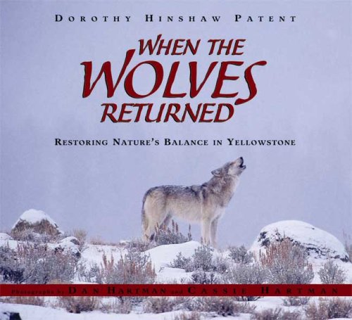 When the Wolves Returned Restoring Nature's Balance in Yellowstone  2008 9780802796868 Front Cover