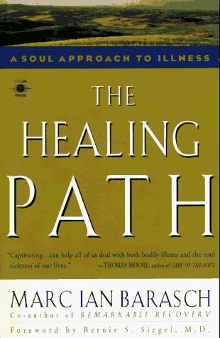 Healing Path A Soul Approach to Illness  1995 9780140194869 Front Cover