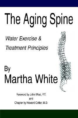 Aging Spine Disorders of the Lumbar Spine  2004 9780595328871 Front Cover