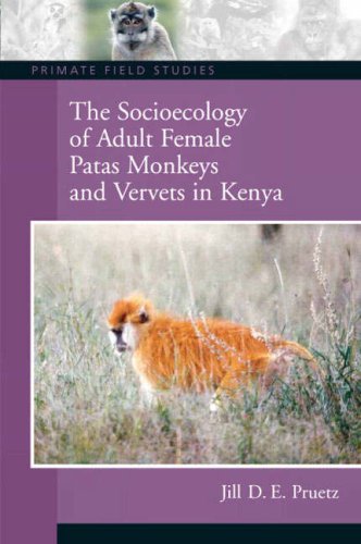 Socioecology of Adult Female Patas Monkeys and Vervets in Kenya   2009 9780131927872 Front Cover